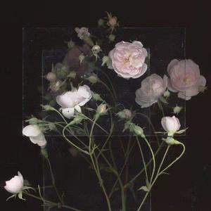 雏妓第一次开包疼痛哭叫视频
